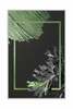 Vaip Conceptum Hypnose HMNT790, 50 x 80 cm, mitmevärviline
