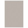 Vaip Sky SKY1602305400BEIGE, 230 x 160 cm, beež