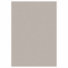 Vaip Sky SKY1602305400BEIGE, 230 x 160 cm, beež