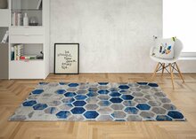Vaip Conceptum Hypnose Ivy 530HFT1481, 160 x 230 cm, mitmevärviline