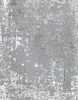 Vaip Domoletti Four Seasons 8934AC5236, 300 x 200 cm, hall
