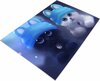Vaip Conceptum Hypnose W1000 213HFT1109, 280 x 180 cm, valge/must/sinine