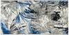 Vaip Contrast Jungle 08, 170 x 120 cm, mitmevärviline