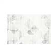 Vaip Domoletti ILLUSION FR-23-808024-3, 230 x 160 cm, hall