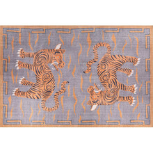 Vaip Conceptum Hypnose Opus Chenille AL 320 473RTP1313, 210 x 310 cm, oranž