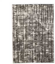 Vaip Domoletti CARPET MODA SOFT 1139AL5352, 190 x 133 cm, mitmevärviline