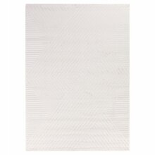 Vaip Ayyildiz Sahara 2403401115, 340 x 240 cm, pruun