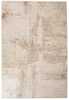 Vaip Domoletti Felix Plus 8937A C9351, 300 x 200 cm, liivakarva pruun