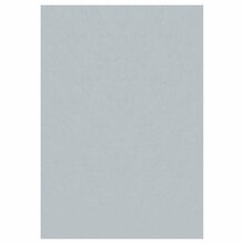 Vaip sise Sky SKY2002905400SILVER, 290 x 200 cm, hõbe