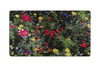 Uksematt Conceptum Hypnose Foresta Djt, 80 x 150 cm, mitmevärviline