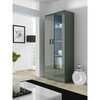 Vitriinkapp Cama Meble Soho S6 2D2S, 80 x 41 x 192 cm, hall/hall läikiv