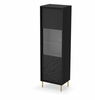 Vitriinkapp Halmar Bullet W-1, 41 x 55 x 185 cm, must/kuldne