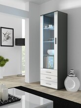 Vitriinkapp Cama Meble Soho S1, 60 x 41 x 192 cm, hall/valge läikiv