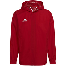 Meeste jakk Adidas Entrada 22 All-Weather IK4009, L, punane