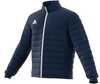 Jakk Adidas Entrada 22 M IB6071, S, tumesinine