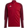 Pusa Adidas Tiro 23 Competition Training HE5650, S, punane