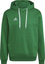 Pusa Adidas Entrada 22 HI2141, S, roheline
