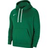 Meeste džemper Nike Park 20 Fleece M CW6894-302, XXL, roheline