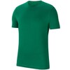 T-särk meestele Nike Park 20 CZ0881-302, L, roheline