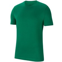T-särk meestele Nike Park 20 CZ0881-302, L, roheline