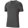 T-särk meestele Nike Park 20, CZ0881-071, L, pruun