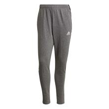 Püksid meestele Adidas Tiro 21 Sweat GP8802, S, hall