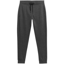 Meeste püksid 4F M223, 4FSS23TTROM223 23M, M, tumehall