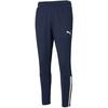 Spordipüksid Puma Team Liga Training Pants M 657242, sinised