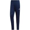 Meeste püksid Adidas Entrada 22 Training Pants HC0333, XL, tumesinine
