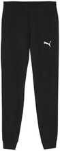 Püksid Puma Team Goal Casuals 658598 03, S, must