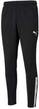 Püksid Puma teamLIGA Training 657242 03, XL, must