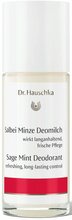 Naiste rulldeodorant Dr. Hauschka Sage Mint, 50 ml