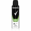 Pihustatav deodorant meestele Rexona Men Invisible Fresh Power, 150 ml
