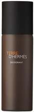 Spreideodorant meestele Hermes Terre d'Hermes, 150 ml