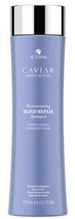 Taastav šampoon kahjustatud juustele Alterna Caviar Restructuring Bond Repair, 40 ml