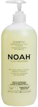 Taastav šampoon kuivadele ja keemiliselt kahjustatud juustele Noah 1.4. Regenerating With Argan Oil, 1000 ml