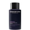Toitev šampoon kahjustatud juustele Sebastian Professional No. Breaker, 280 ml