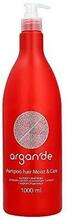 Niisutav šampoon Stapiz Argan De Moist & Care, 1000 ml