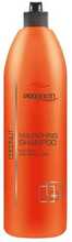 Juukšampoon Chantal Prosalon Nourishing Coconut, 1000 ml