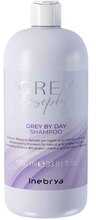 Tooniv šampoon loomulikult hallidele juustele Inebrya GreyLosophy Grey By Day, 300 ml