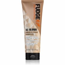 Šampoon blondidele juustele Fudge Professional All Blonde Colour Lock, 250 ml