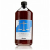 Šampoon rasusele peanahale Davines Rebalancing, 1000 ml