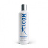 Silendav šampoon I.C.O.N. Anti-Frizz, 250 ml