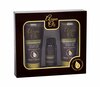 Juuksehoolduskomplekt naistele Xpel Argan Oil: šampoon 100 ml, palsam 100 ml, õli 30 ml
