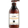 Juuksešampoon sheavõiga Saryna Key Color Lasting, 500 ml