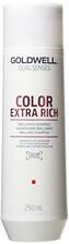 Šampoon värvitud juustele Goldwell Dualsenses Color Extra Rich Brilliance, 250 ml