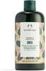 Taastav šampoon The Body Shop Shea Intense Repair, 400 ml