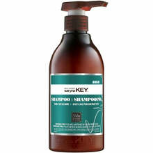 Kollasust neutraliseeriv šampoon Saryna Key No-Yellow Shampoo, 300 ml