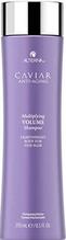 Volüümi andev šampoon Alterna Caviar Anti-Aging Multiplying Volume, 250 ml
