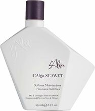 Taastav šampoon L'Alga Seawet, 250 ml